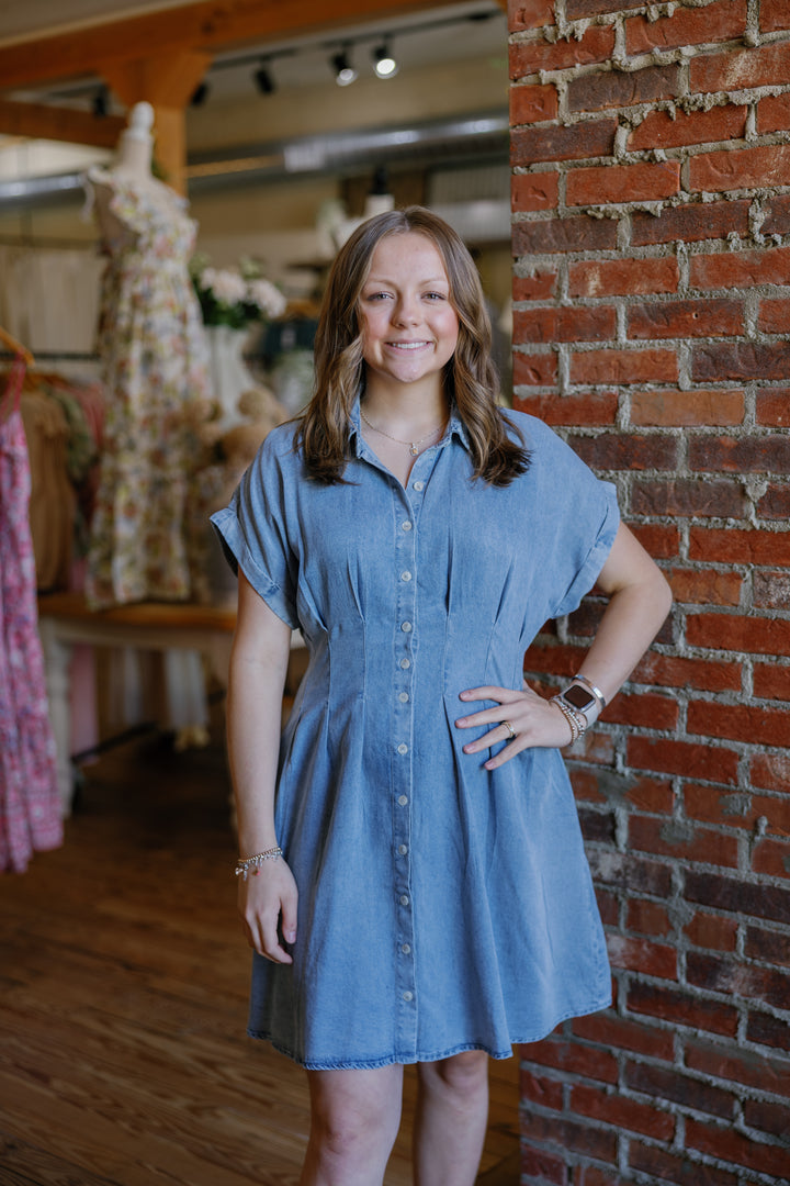 Danielle Denim Mini Dress