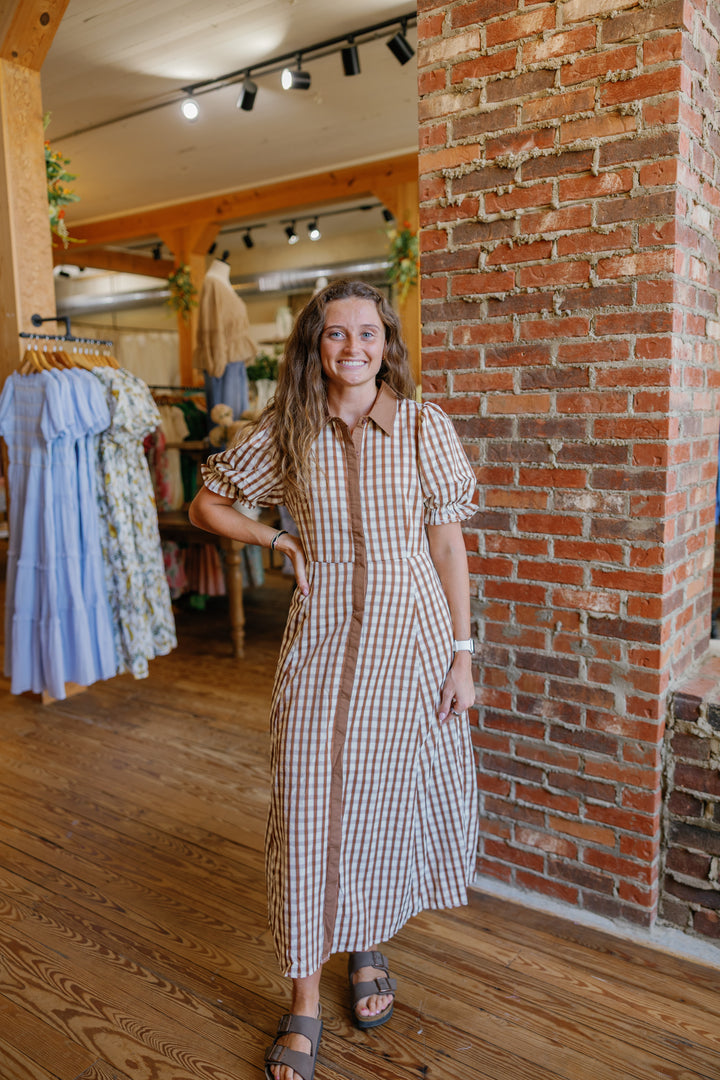 Chrisse Midi Dress - Brown