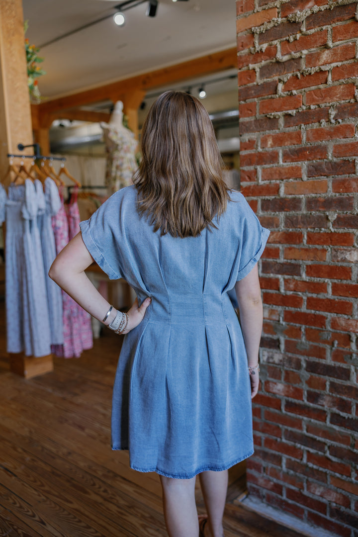Danielle Denim Mini Dress