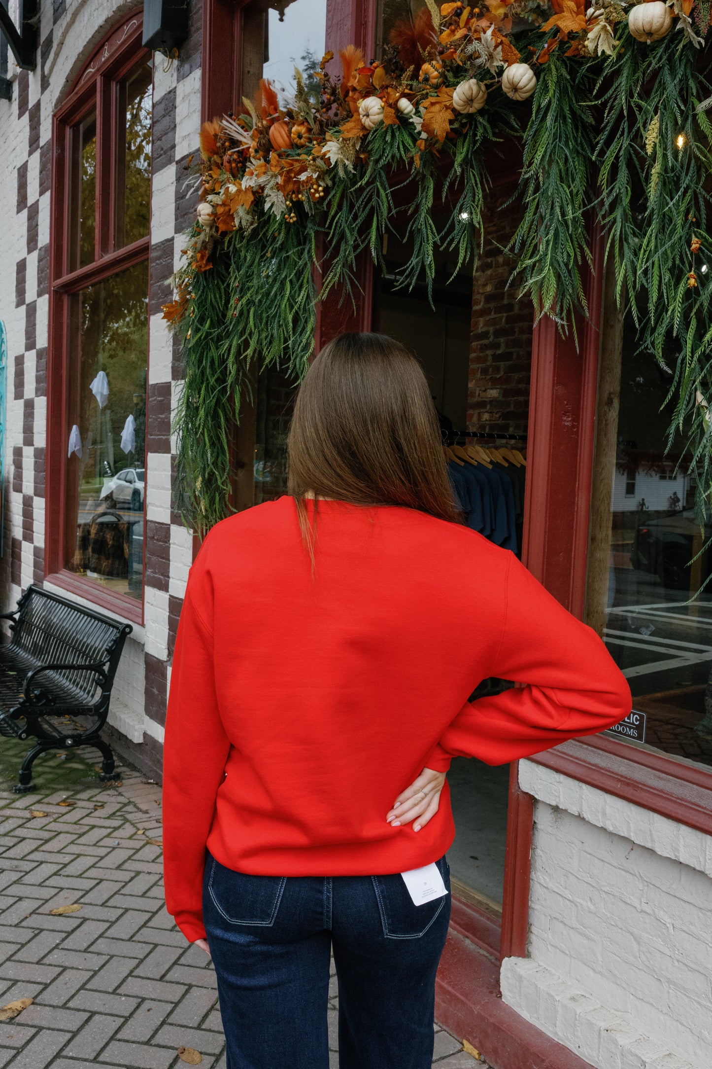 Georgia Mascot Pullover