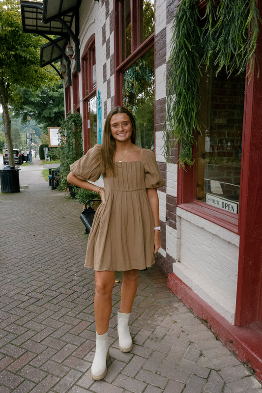 Jessie Mini Dress - Brown