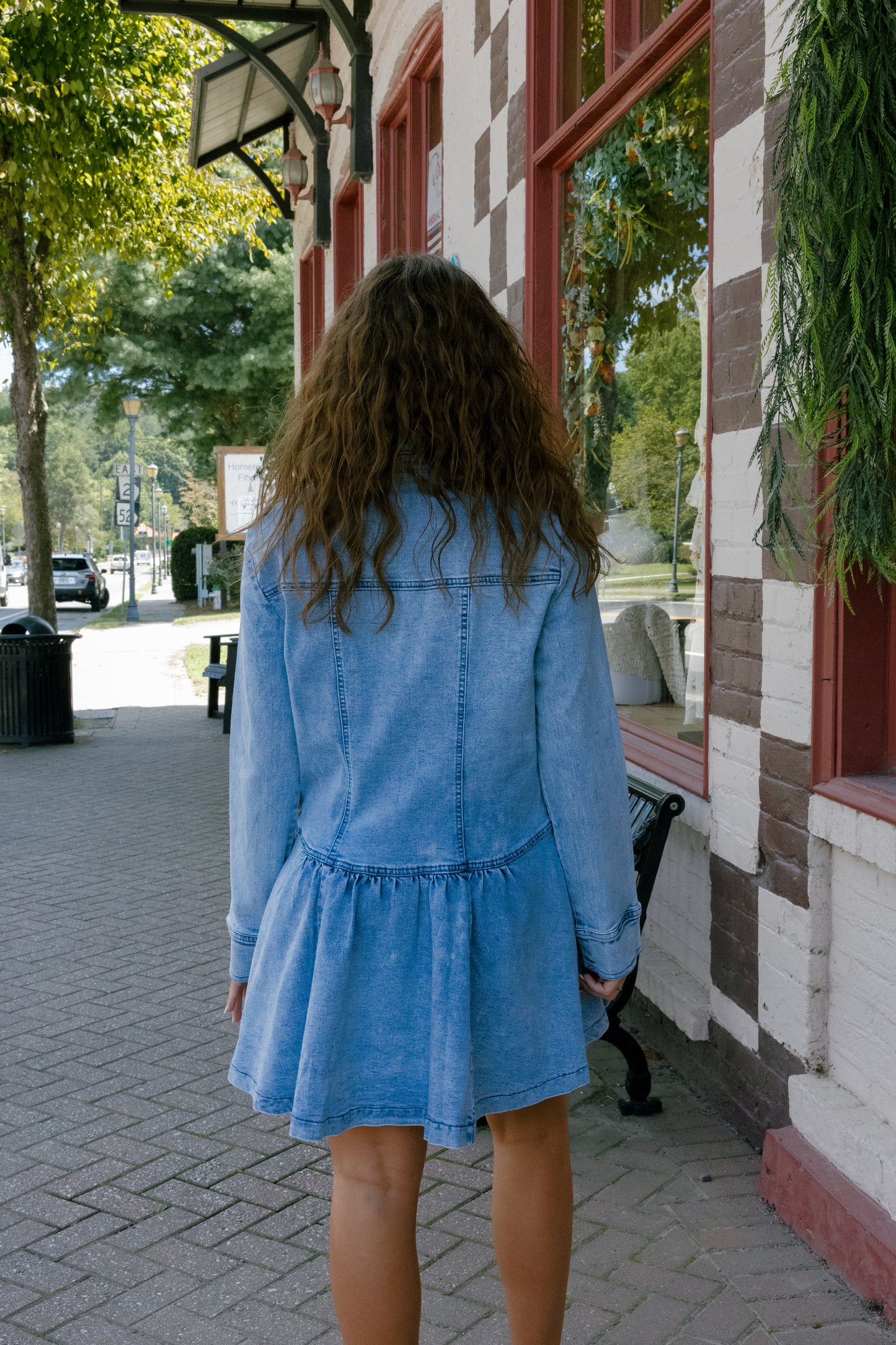 Halsie Denim Dress