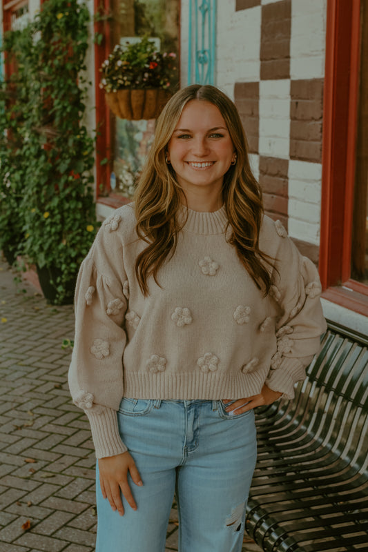 Lucy Sweater Top - Beige