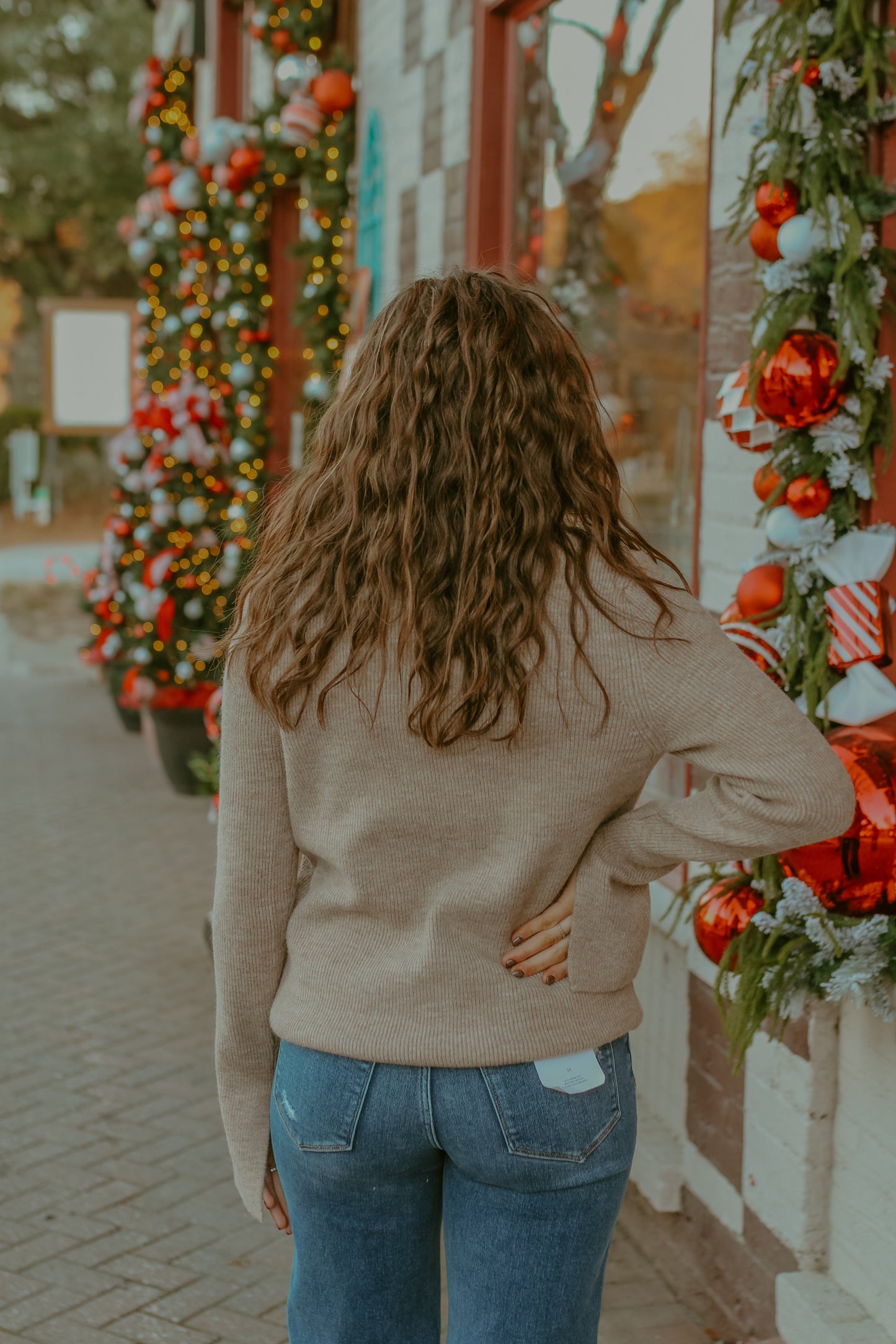 To The North Pole Turtle Neck -  Oatmeal